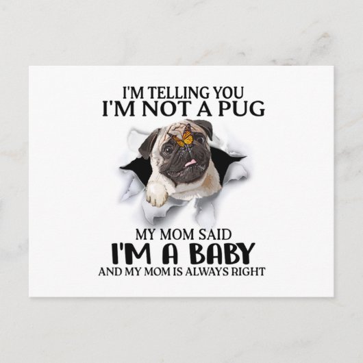 Ich sage Ihnen, ich bin kein Mops, ich bin ein Bab Postkarte (Vorderseite)