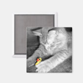 'Ich sagte: Füttre nicht die Katze' Gummi Duck Mag Magnet (Vorderseite/Rückseite)