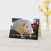 Ich sagte, ich mochte Erdbeere Yogies, nicht... Karte (Gelbe Blume)