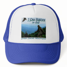 Ich sah Bigfoot - Great Smoky Mountains-Hut