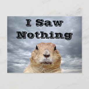 Ich sah nichts am Tag des Groundhog Postkarte