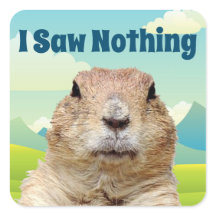 Ich sah nichts am Tag des Groundhog