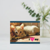 Ich schätze meine Katze Postkarte (Stehend Vorderseite)