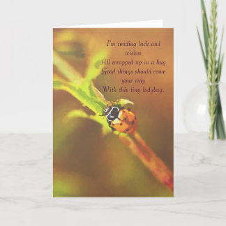 Ich schicke Glück...ladybug Grußkarte Karte