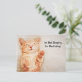 Ich schlafe nicht, ich meditiere die lustige Kitte Postkarte (Stehend Vorderseite)
