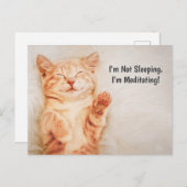 Ich schlafe nicht, ich meditiere die lustige Kitte Postkarte (Vorne/Hinten)