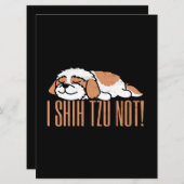 Ich schreibe nicht lustige Zitat | Geburtstagsgesc (Vorne/Hinten)