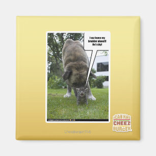 Ich seh, ich verließ meinen Bruder allein Magnet