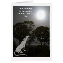 Ich sehe auf den Mond