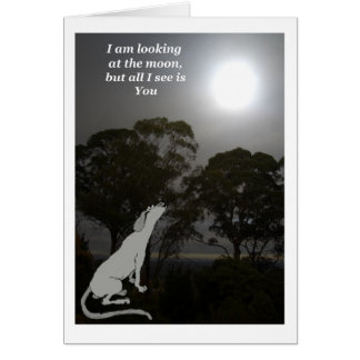 Ich sehe auf den Mond