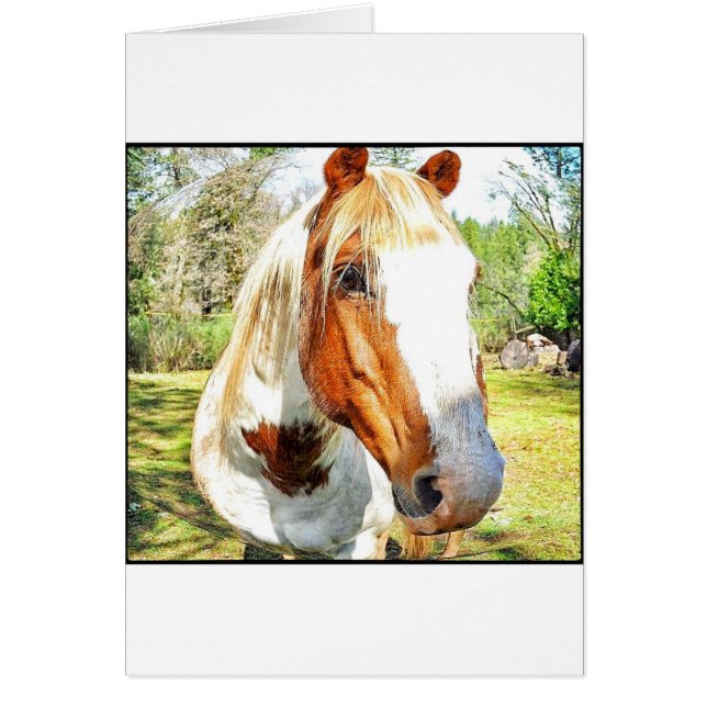 Ich sehe dich! (Vorne)