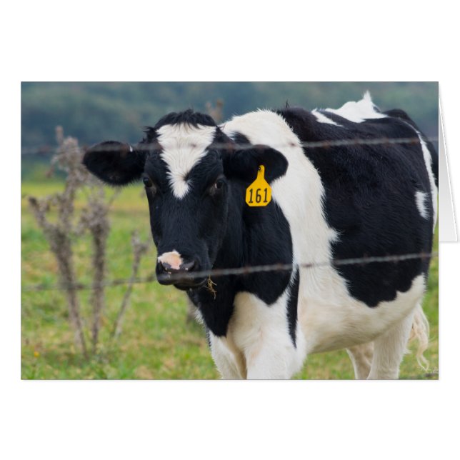 Ich sehe dich (Vorderseite (Horizontal))