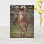 Ich sehe dich an karte (Gelbe Blume)