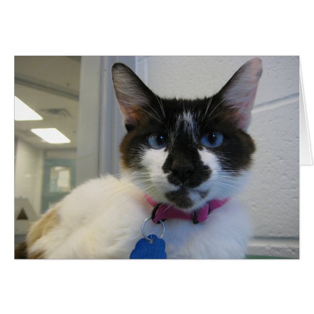 Ich sehe dich auch (Vorderseite (Horizontal))