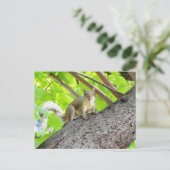 Ich sehe dich Eichhörnchenpostkarte Postkarte (Stehend Vorderseite)