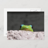 Ich sehe dich Gecko Postkarte (Vorne/Hinten)