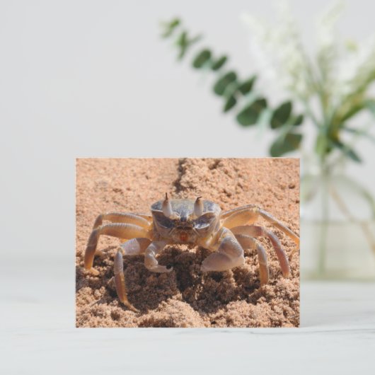 Ich sehe dich - Krabbe am Strand nah Postkarte (Stehend Vorderseite)