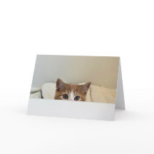 "Ich sehe dich" - Louie flüchtigen Blicks raus