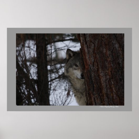 Ich sehe dich poster (Vorne)