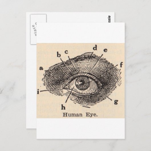 Ich sehe dich postkarte (Vorne/Hinten)