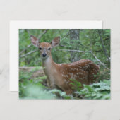 Ich sehe dich postkarte (Vorne/Hinten)