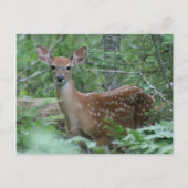 Ich sehe dich postkarte (Vorderseite)