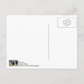 Ich sehe dich postkarte (Rückseite)