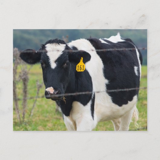 Ich sehe dich postkarte (Vorderseite)