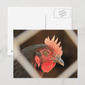 Ich sehe dich postkarte (Vorne/Hinten)