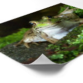 Ich sehe dir Bullfrog Poster zu (Ecke)