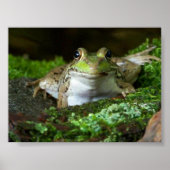 Ich sehe dir Bullfrog Poster zu (Vorne)
