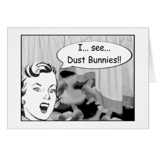 Ich sehe Dust Bunnies