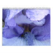 Ich sehe eine Iris Kalender (Titelbild)