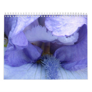 Ich sehe eine Iris Kalender