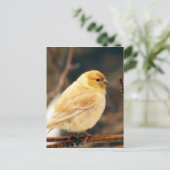 Ich sehe Frühling Postkarte (Stehend Vorderseite)