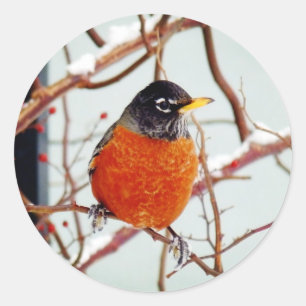 Ich sehe Frühling Runder Aufkleber