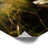 "Ich sehe Schönheit" Motivation Affirmation Poster (Ecke)