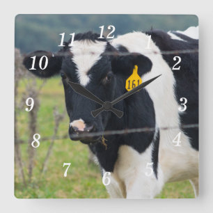 Ich sehe, wie Sie die Uhr sehen