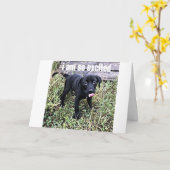 ICH SENDE EIN KLEINES UND SAGE ***GRATULIERUNGEN** KARTE (Gelbe Blume)