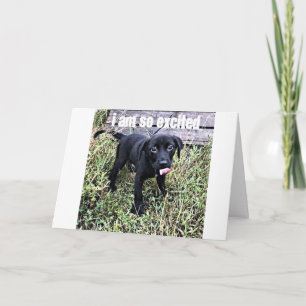 ICH SENDE EIN KLEINES UND SAGE ***GRATULIERUNGEN** KARTE