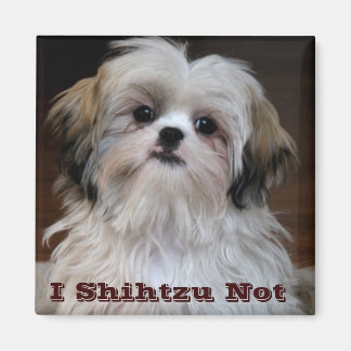 Ich Shihtzu Nicht lustig shih tzu Kühlschrankmagne Magnet