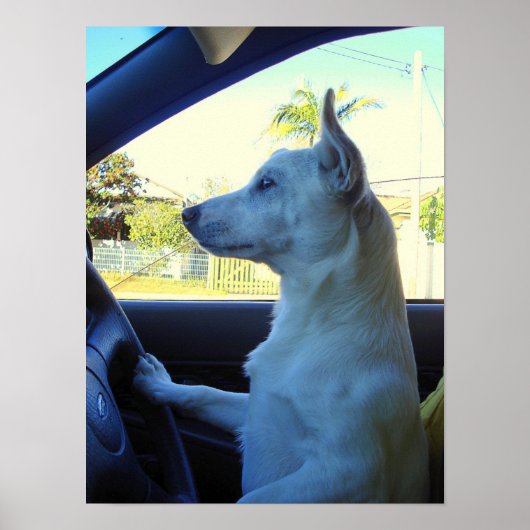 Ich spät poster (Vorne)