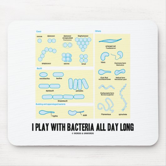 Ich spiele den ganzen Tag mit Bakterien (Morpholog Mousepad (Vorne)