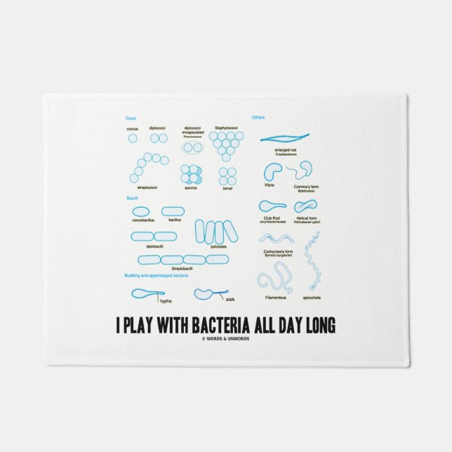 Ich spiele mit Bakterien-den ganzen Tag Fußmatte (Vorderseite)