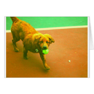 "Ich spiele Sie jederzeit! "