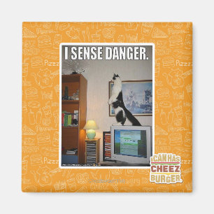 Ich spüre Gefahr Magnet