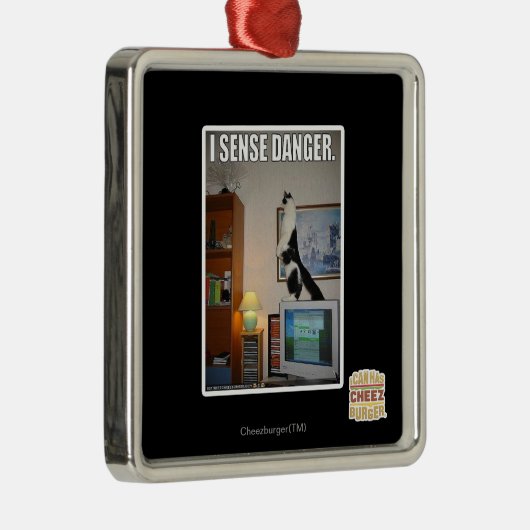 Ich spüre Gefahr Silbernes Ornament (Rechts)
