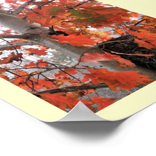 Ich spy... poster (Ecke)