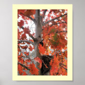 Ich spy... poster (Vorne)