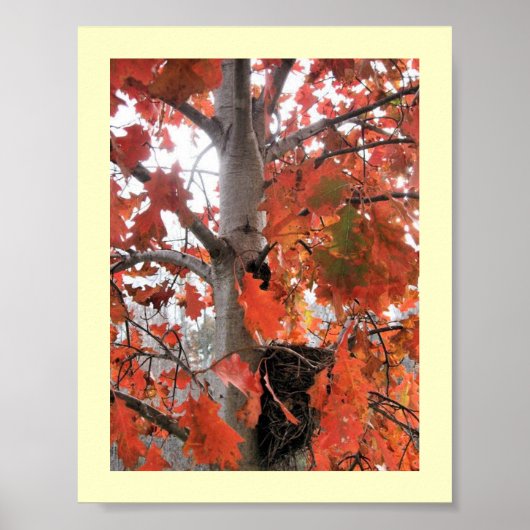 Ich spy... poster (Vorne)